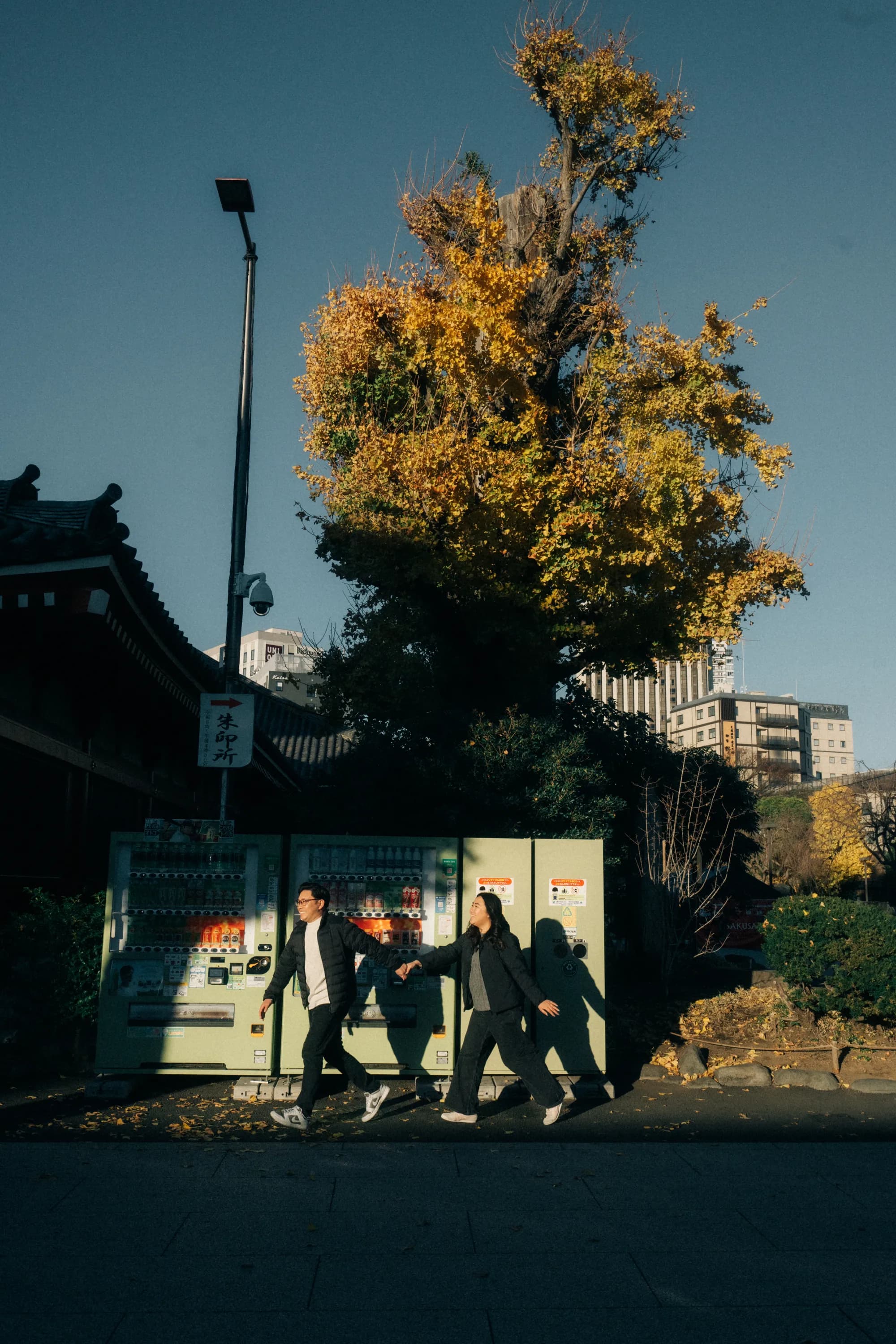 Vivian and Timothy in Japan, photo 18