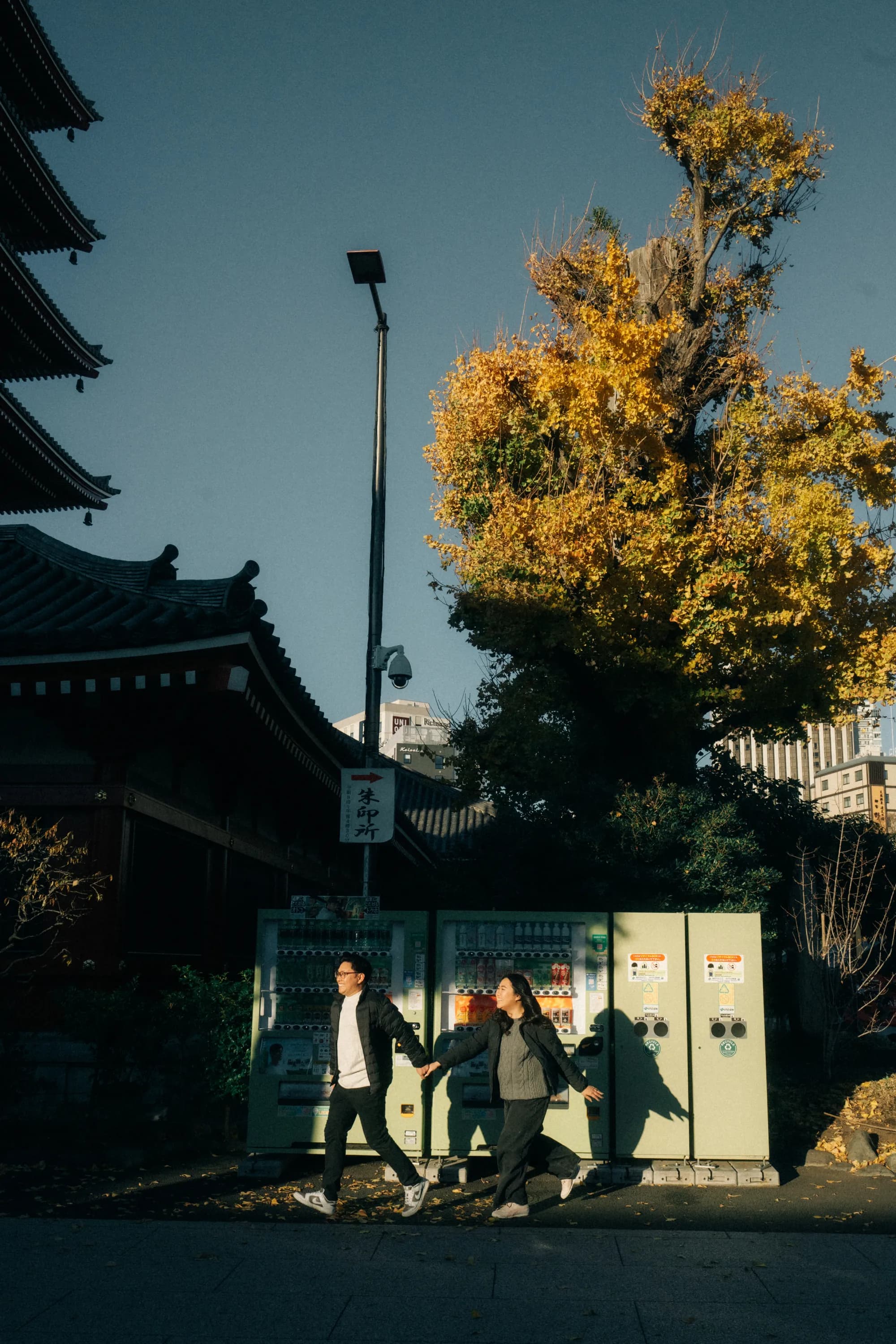 Vivian and Timothy in Japan, photo 35